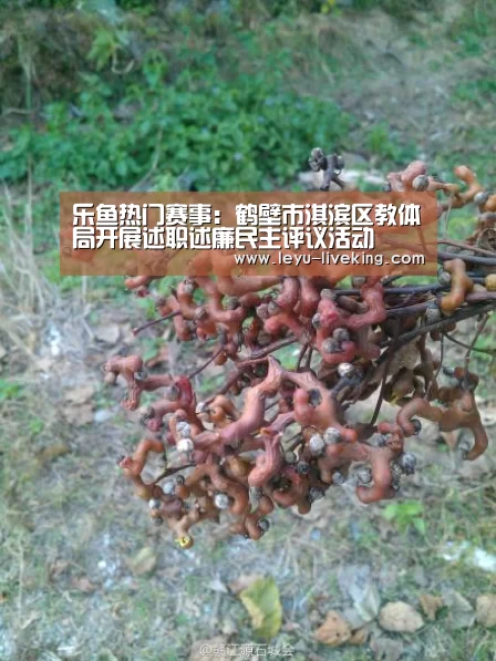 乐鱼真人娱乐
