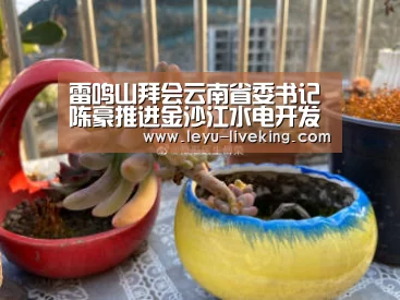 雷鸣山拜会云南省委书记陈豪推进金沙江水电开发_乐鱼热门赛事(图2) 乐鱼电竞官网
